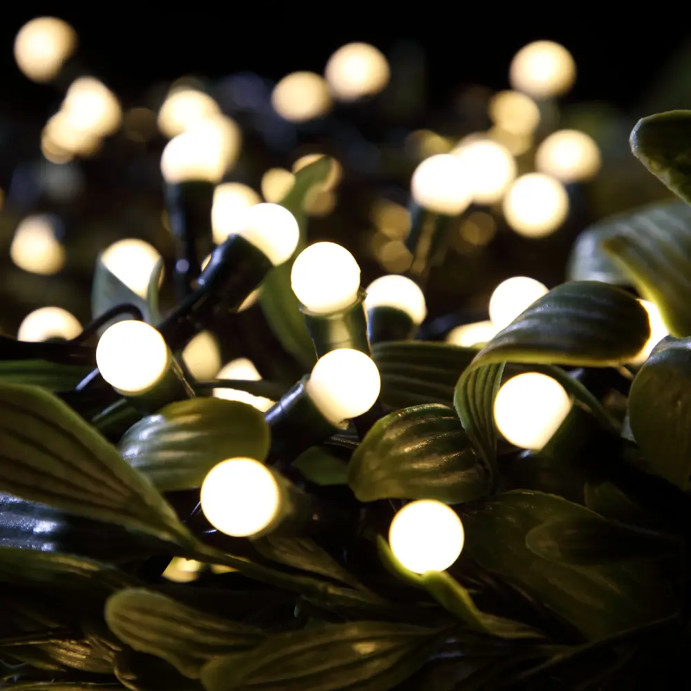Christmas Berry Lights - Fit & Forget -  Battery Operated - Warm White - 50L