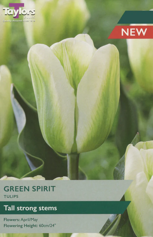 Tulip Green Spirit - 5 Bulbs