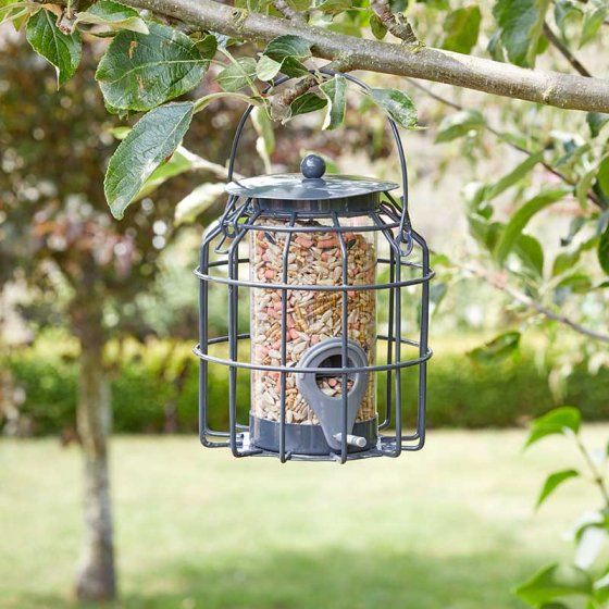 Squirrel Proof - Compact Seed Feeder