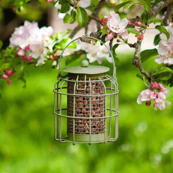 Squirrel Proof - Compact Peanut Feeder