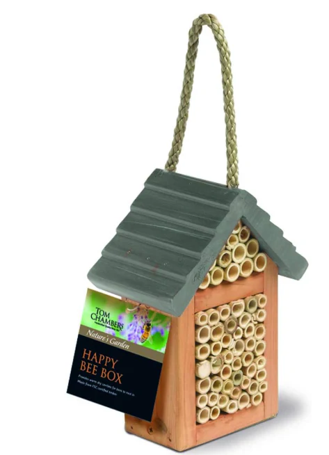 Bee Box - Happy Bee