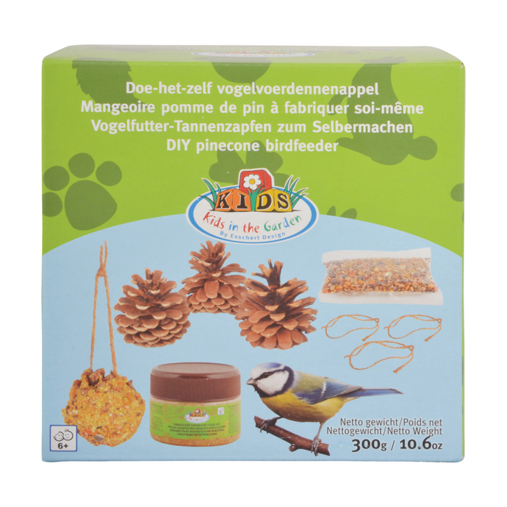 DIY Bird Food Pine Cones