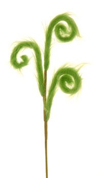 Christmas Branch - Green Curly