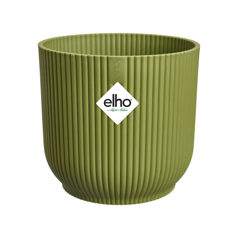 Vibes Fold Round 14 Fern Green