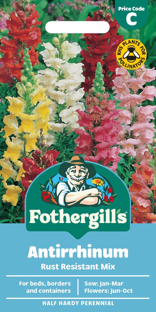 Antirrhinum - Rust Resistant Mixed