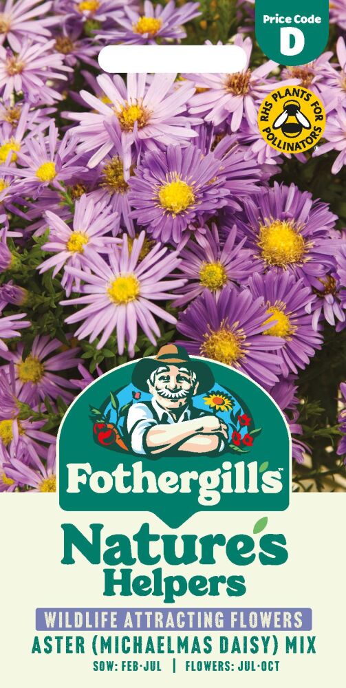 Aster - (Michaelmas Daisy) Mixed