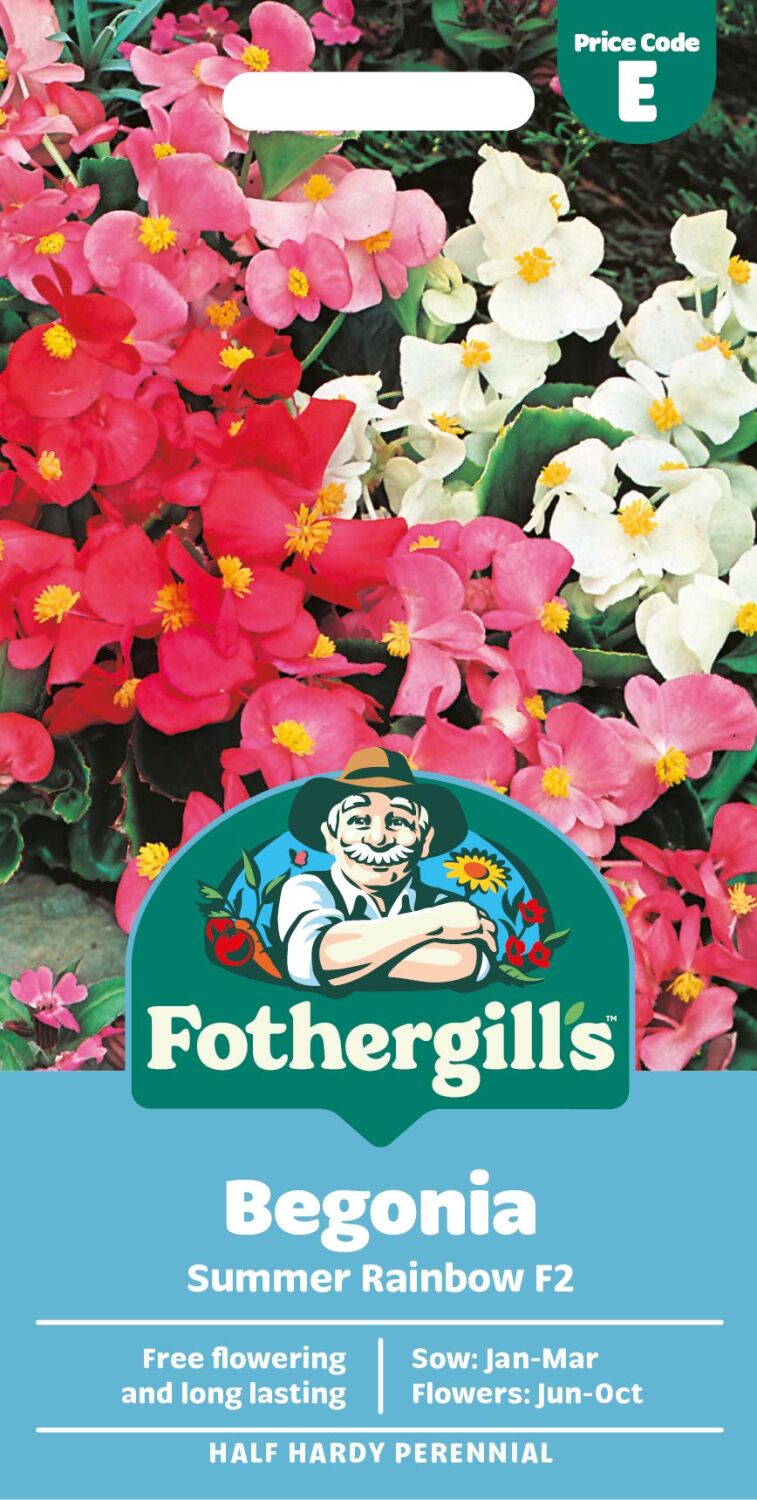 Begonia - Summer Rainbow F2