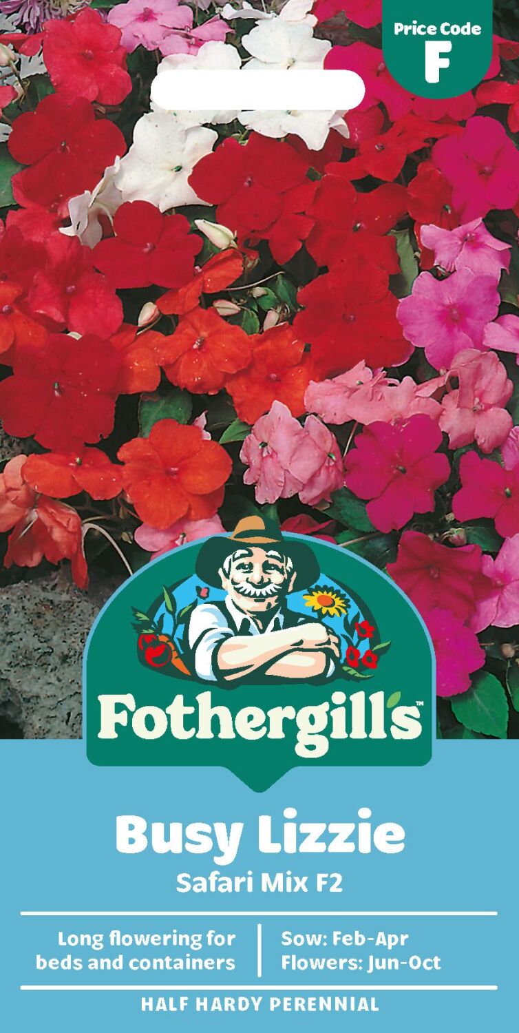 Busy Lizzie - Safari Mixed F2