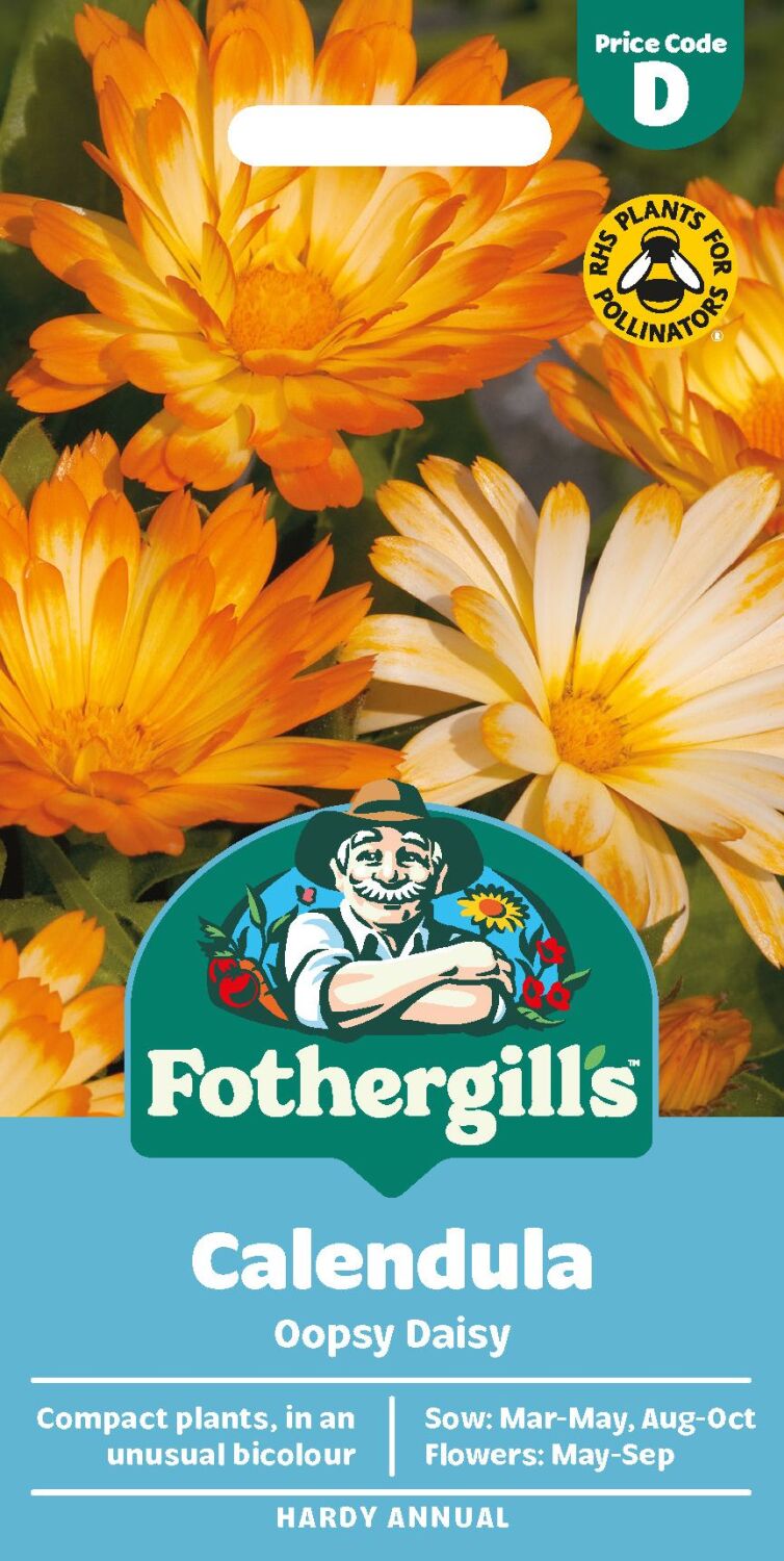 Calendula - Oopsy Daisy
