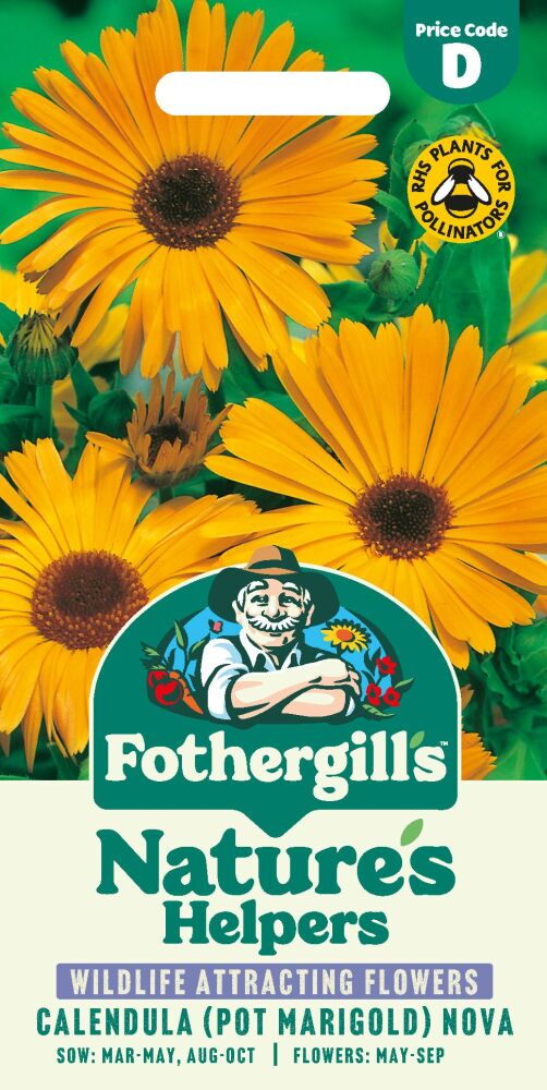 Calendula - Pot Marigold Nova