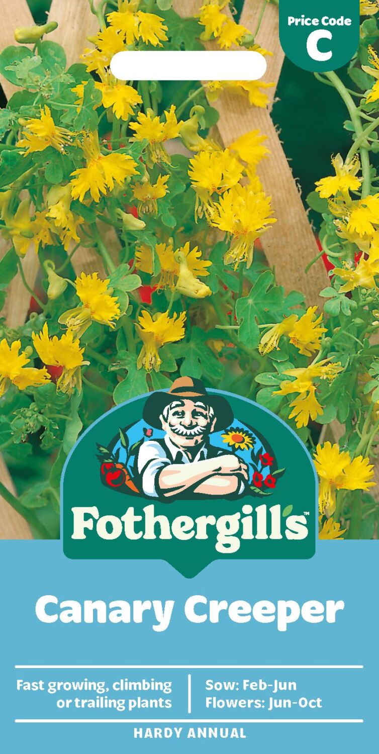 Canary Creeper