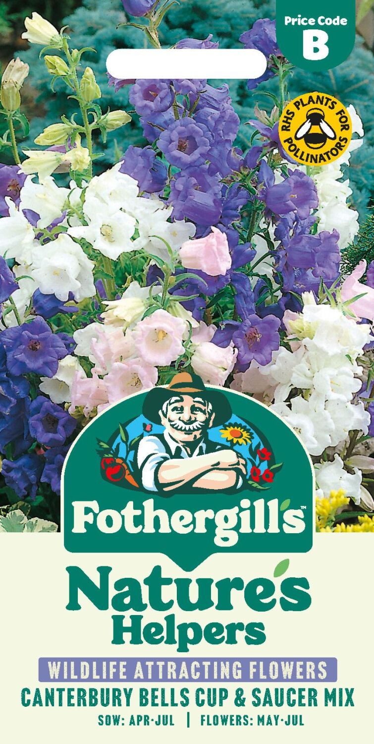 Canterbury Bells - Cup & Saucer Mixed