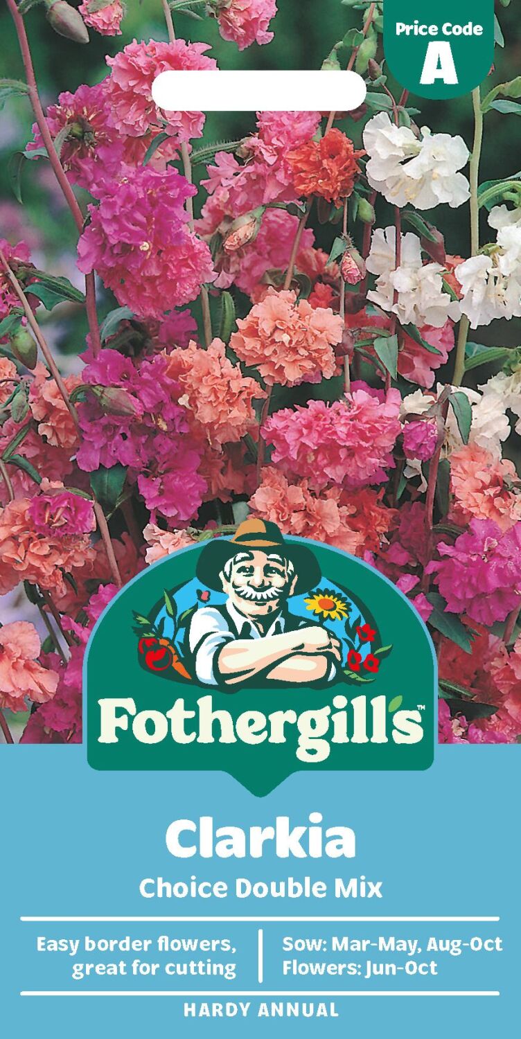 Clarkia Choice Double Mixed