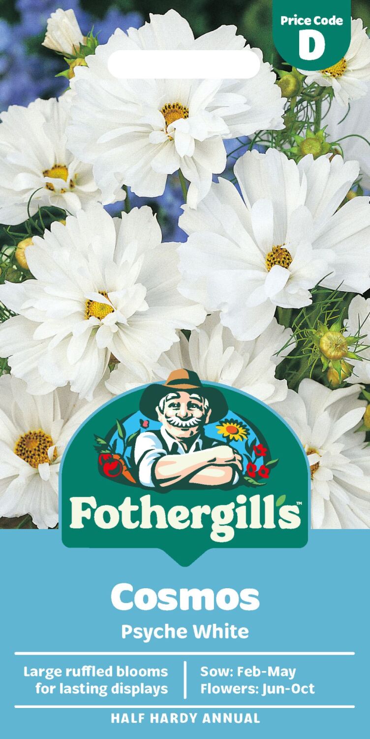 Cosmos  Psyche White