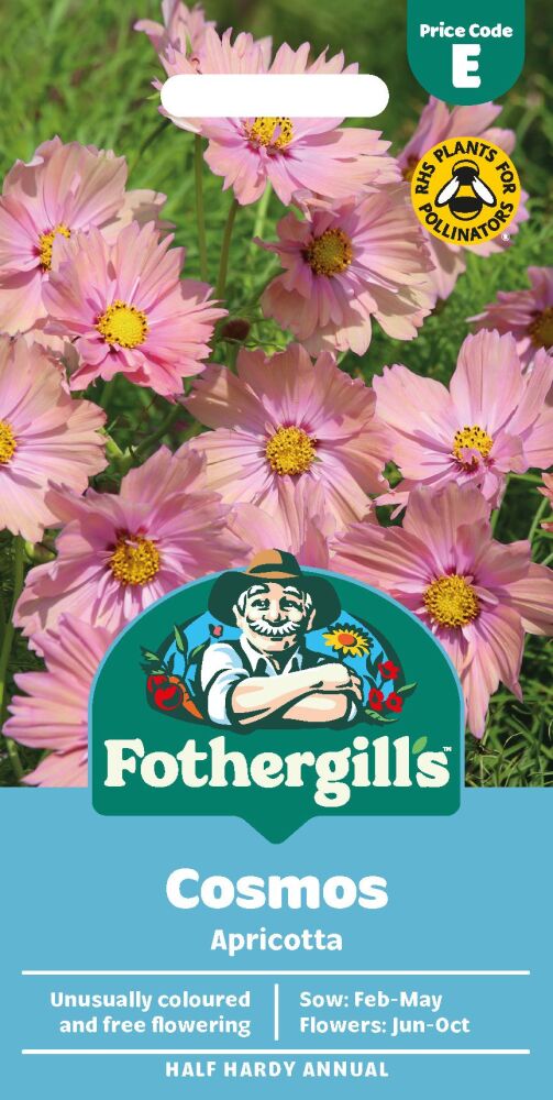 Cosmos Apricotta