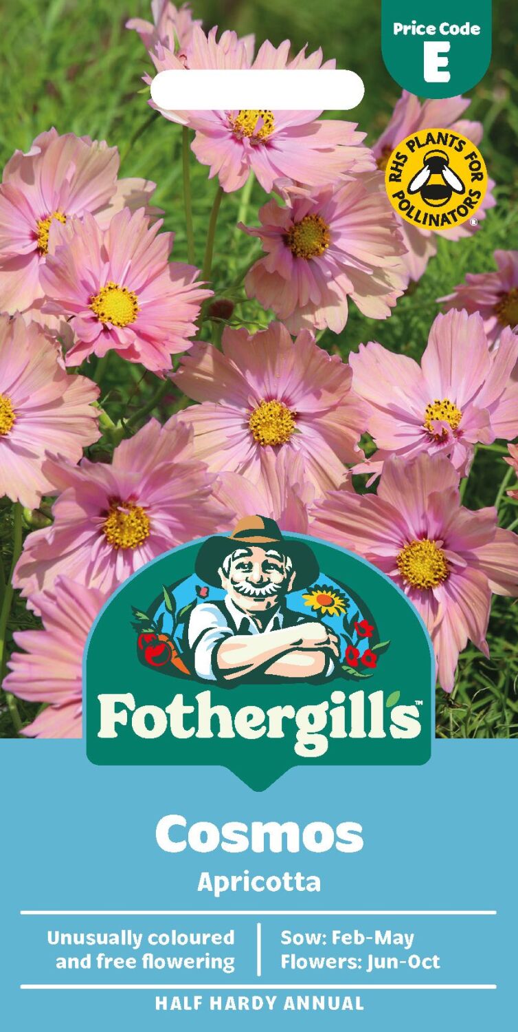 Cosmos Apricotta