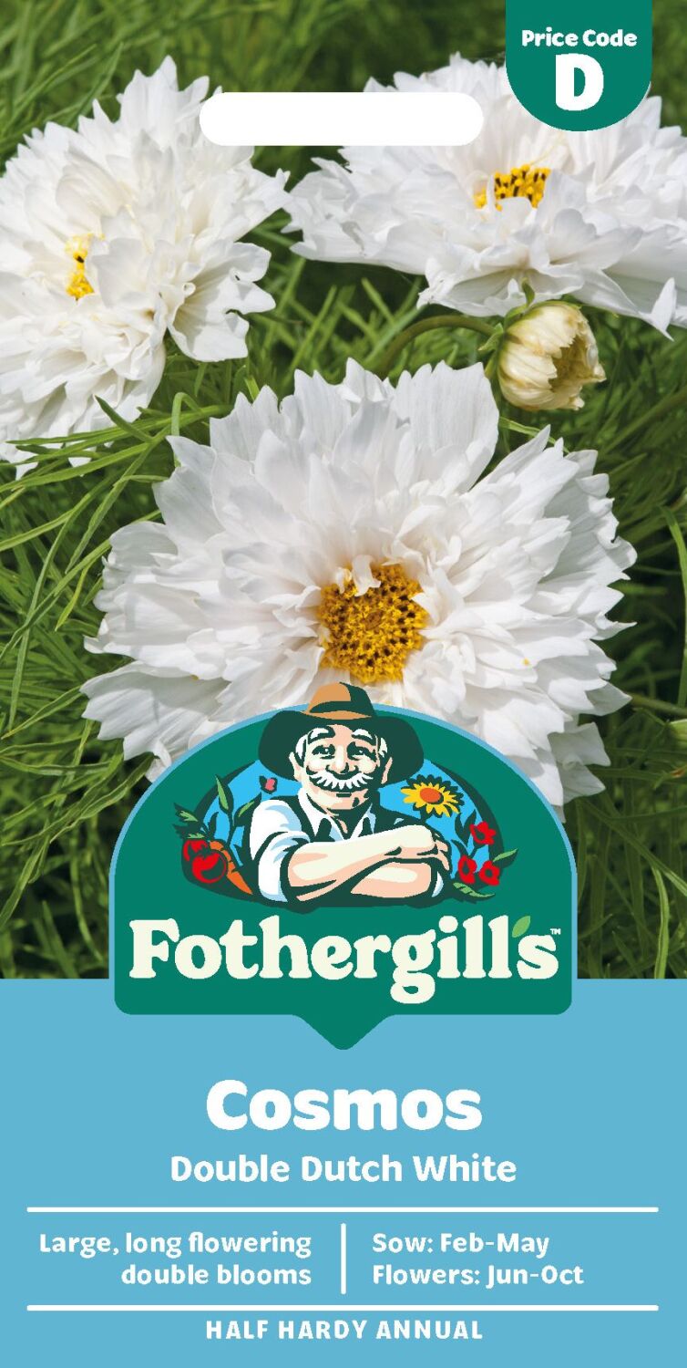 Cosmos Double Dutch White