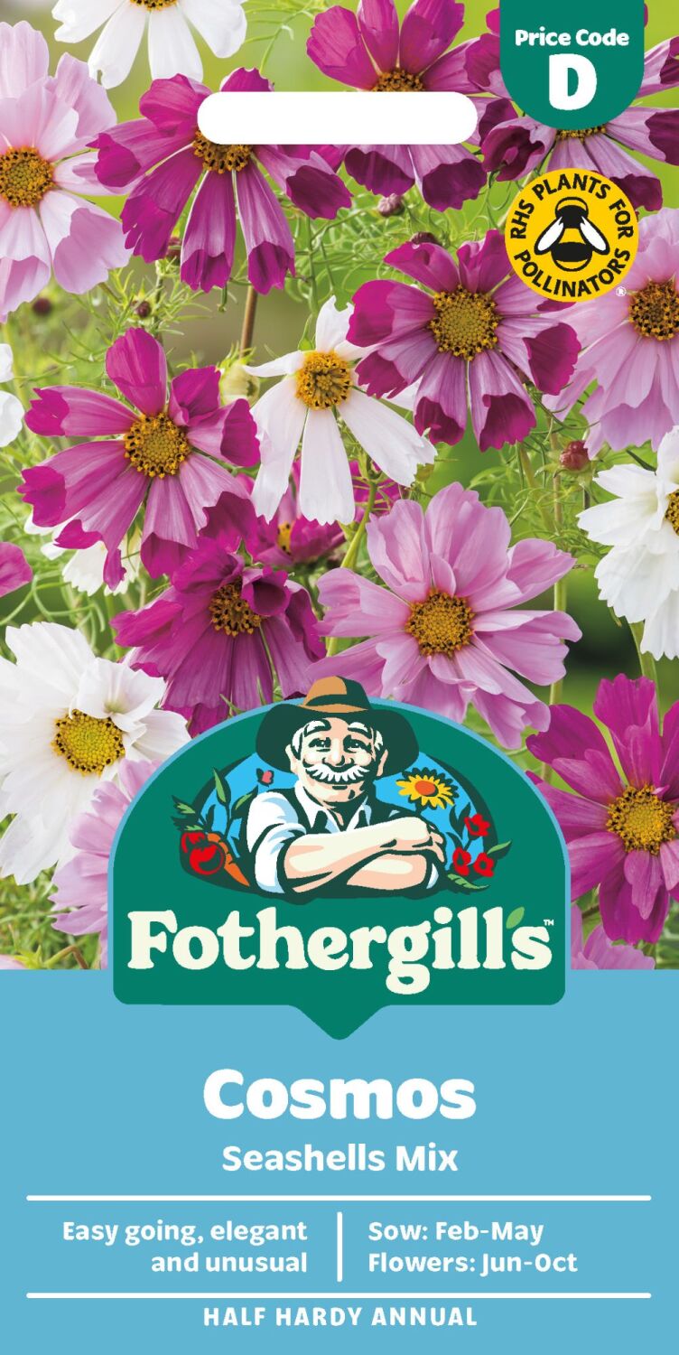 Cosmos Seashells Mixed