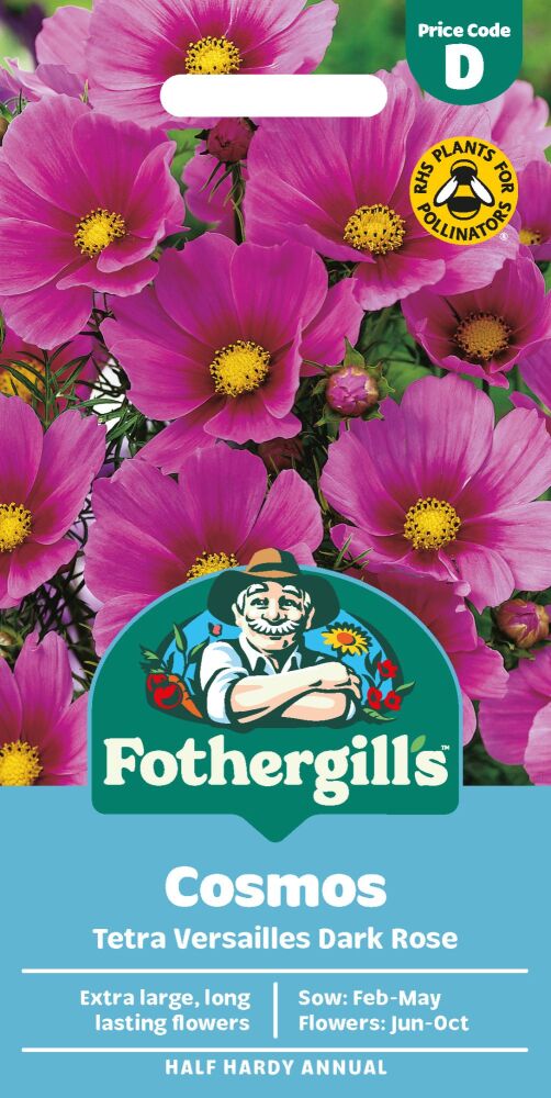 Cosmos Tetra Versailles Dark Rose