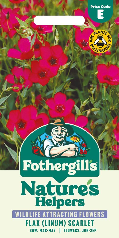 Flax (Linum) Scarlet