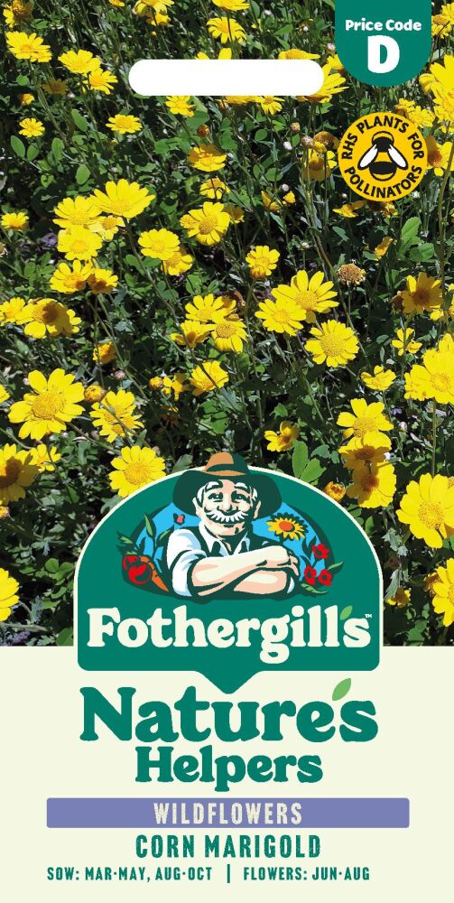 Corn Marigold