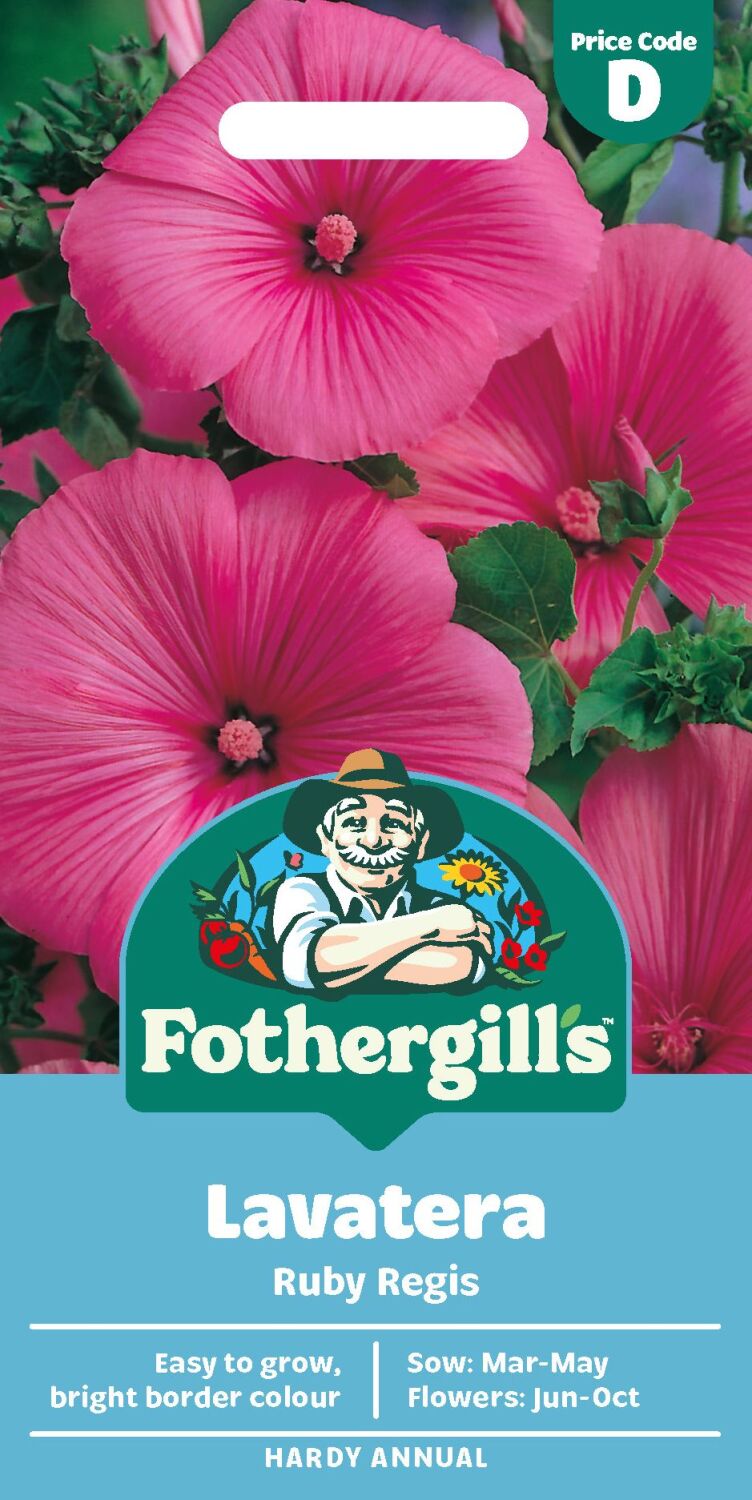 Lavatera Ruby Regis