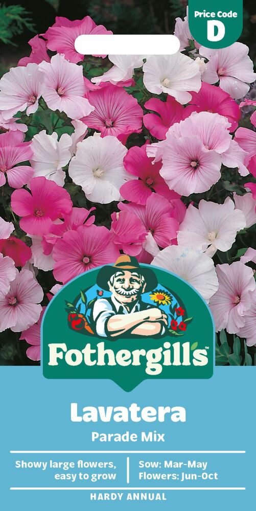 Lavatera Parade Mixed