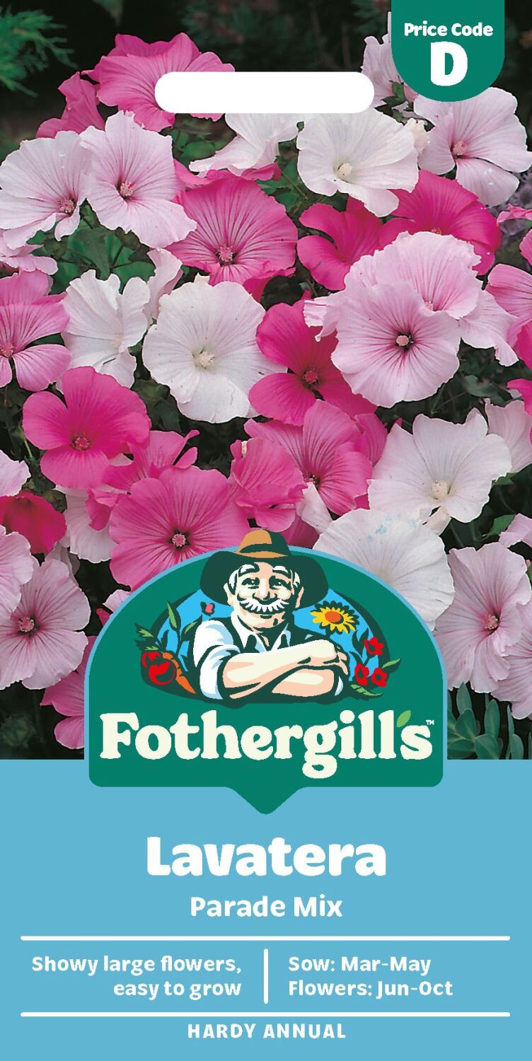Lavatera Parade Mixed