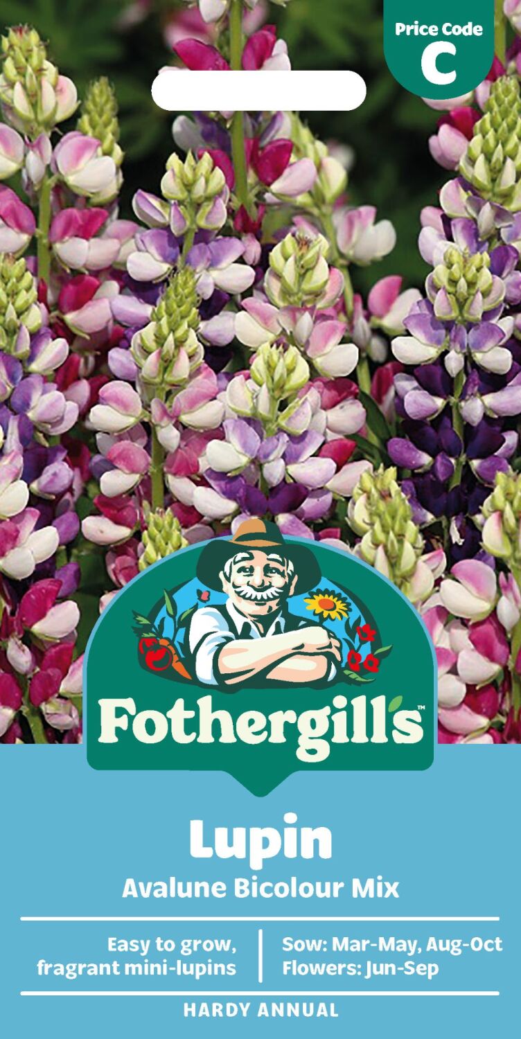 Lupin Avalune Bicolour Mix