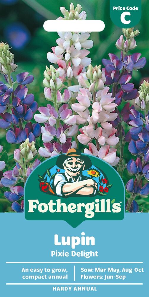 Lupin Pixie Delight