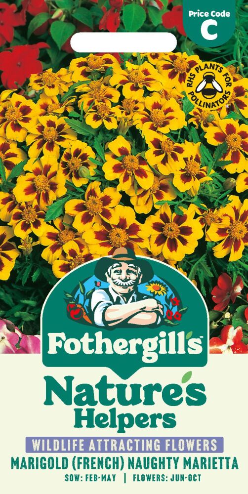 Marigold  (French) Naughty Marietta