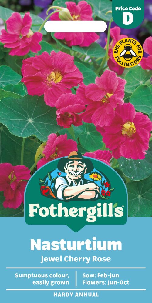 Nasturtium  Jewel Cherry Rose