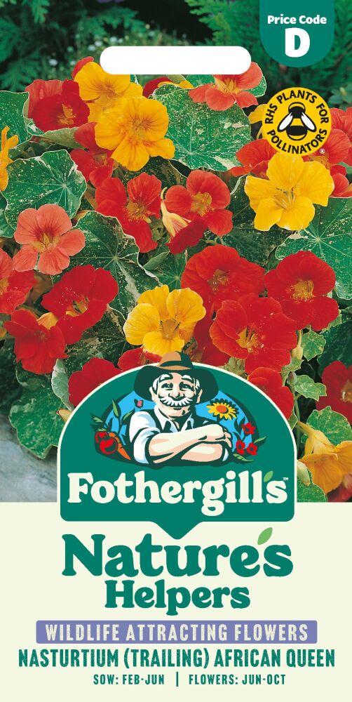 Nasturtium (Trailing) African Queen