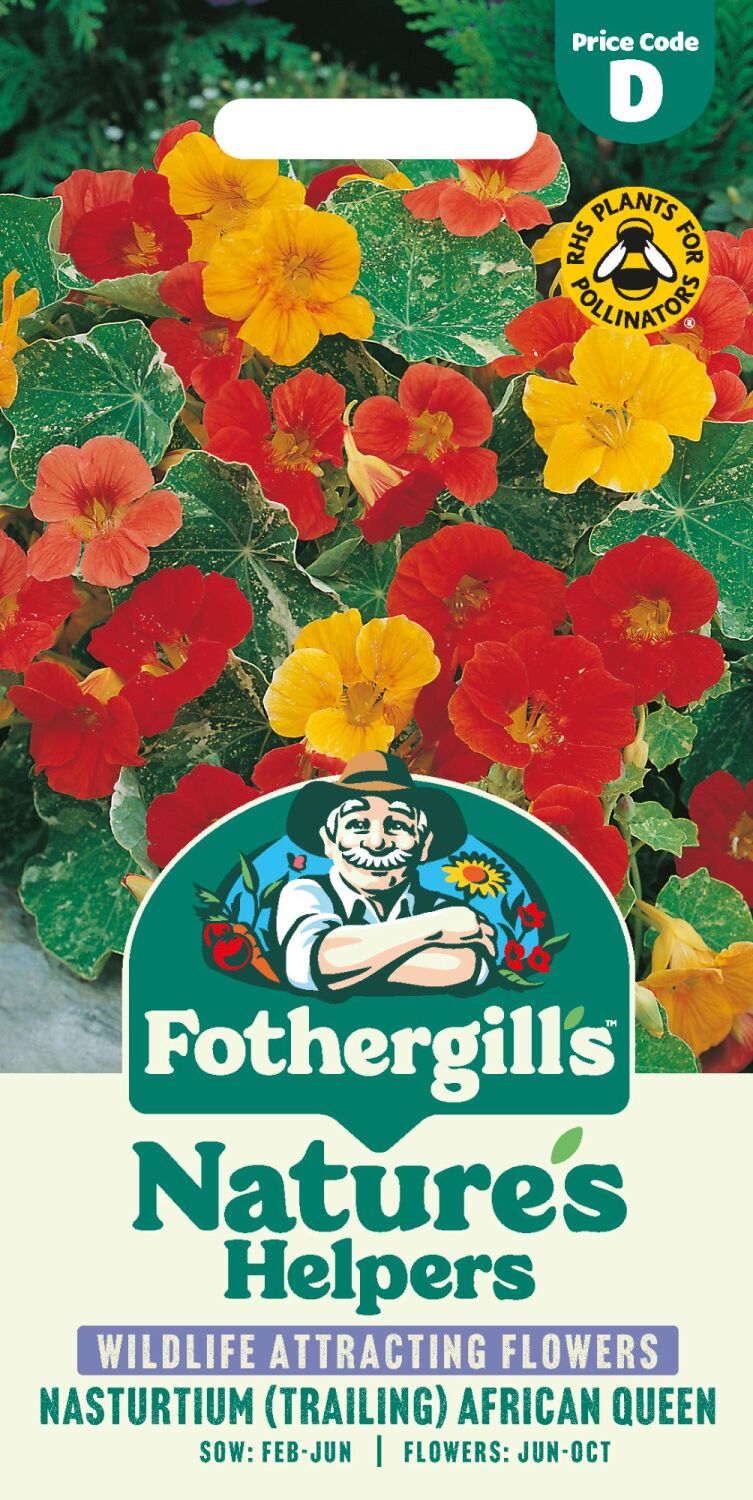 Nasturtium (Trailing) African Queen