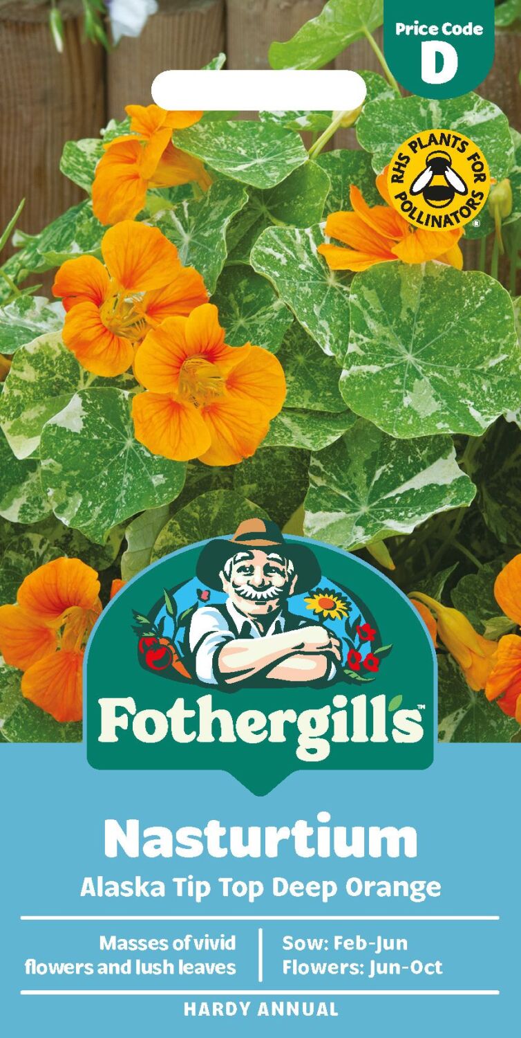 Nasturtium Alaska Tip Top Deep Orange