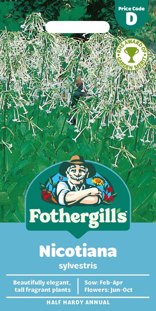 Nicotiana sylvestris