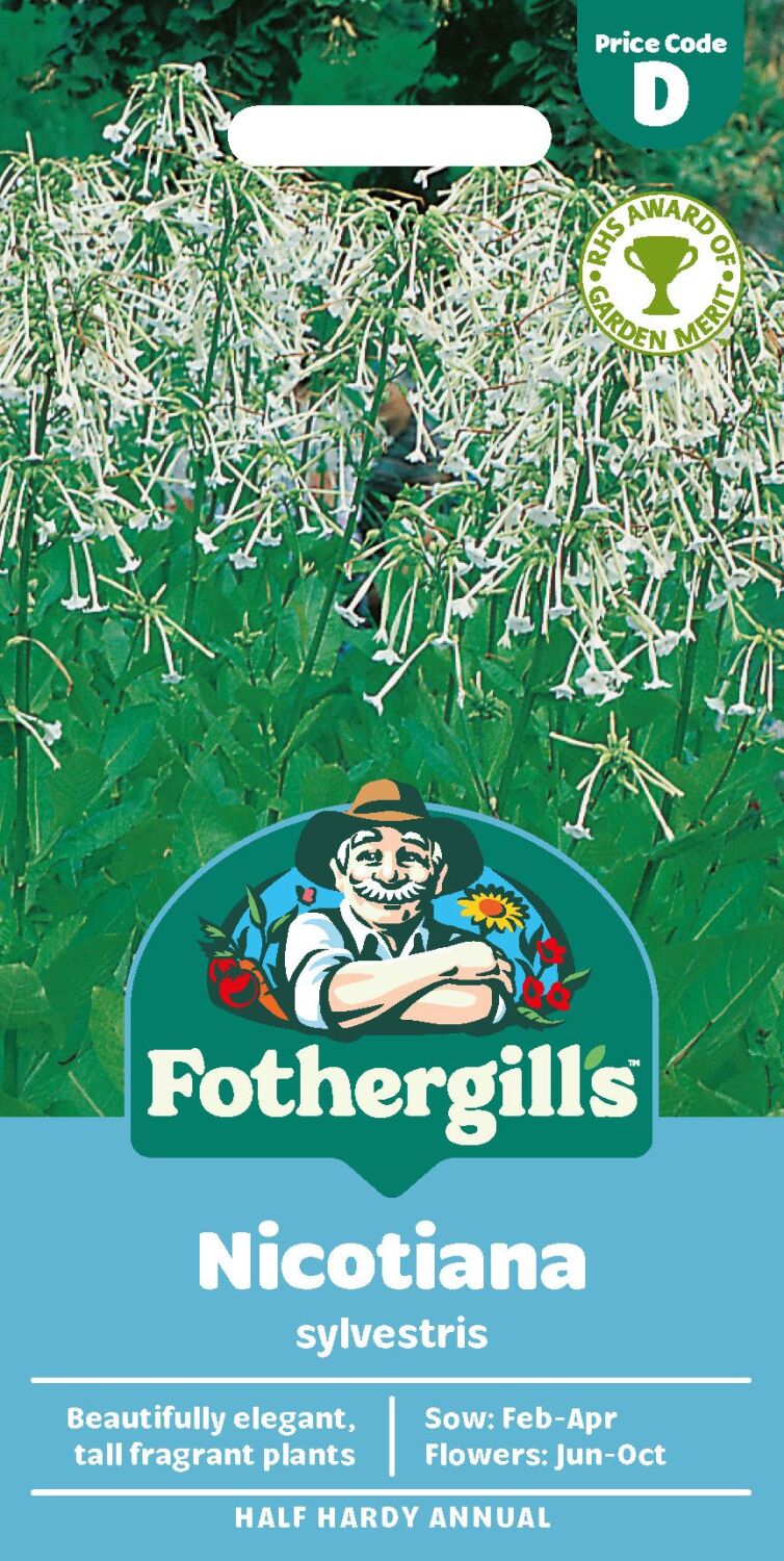 Nicotiana sylvestris