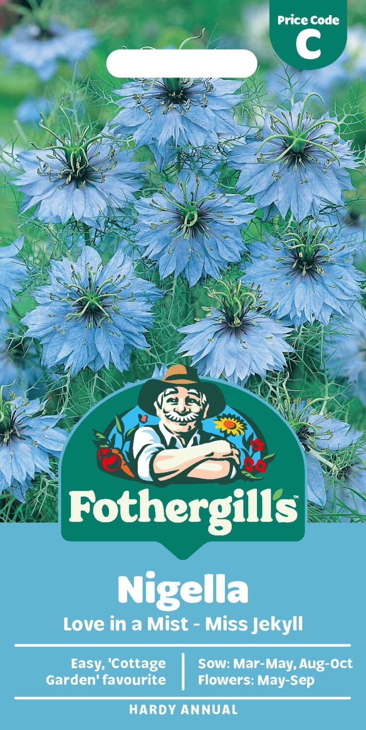 Nigella Love in a Mist -Miss Jekyll