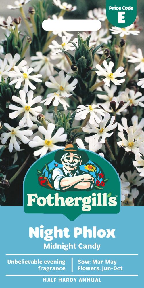 Night Phlox Midnight Candy