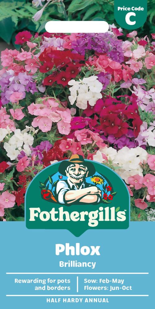 Phlox Brilliancy