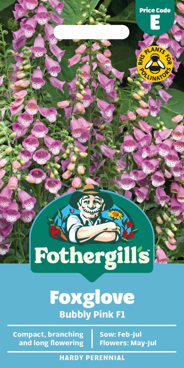 Foxglove Bubbly Pink F1