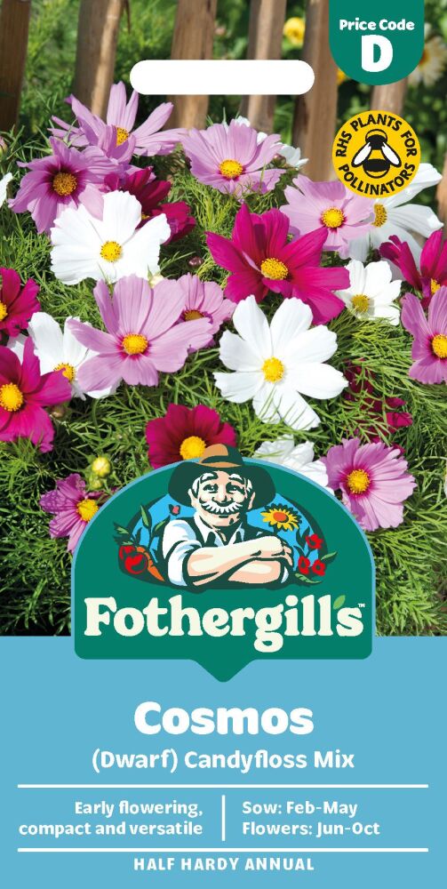 Cosmos Dwarf Candyfloss Mix