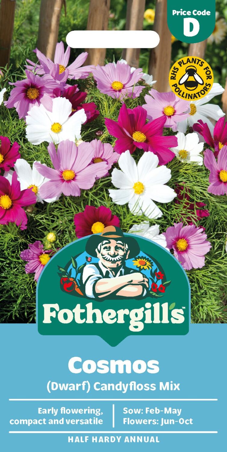 Cosmos Dwarf Candyfloss Mix