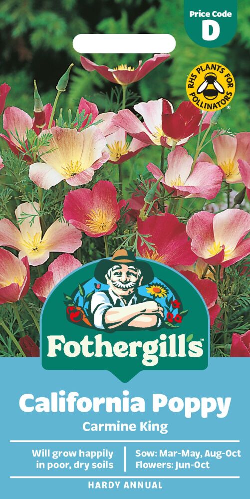 Californian Poppy Carmine King