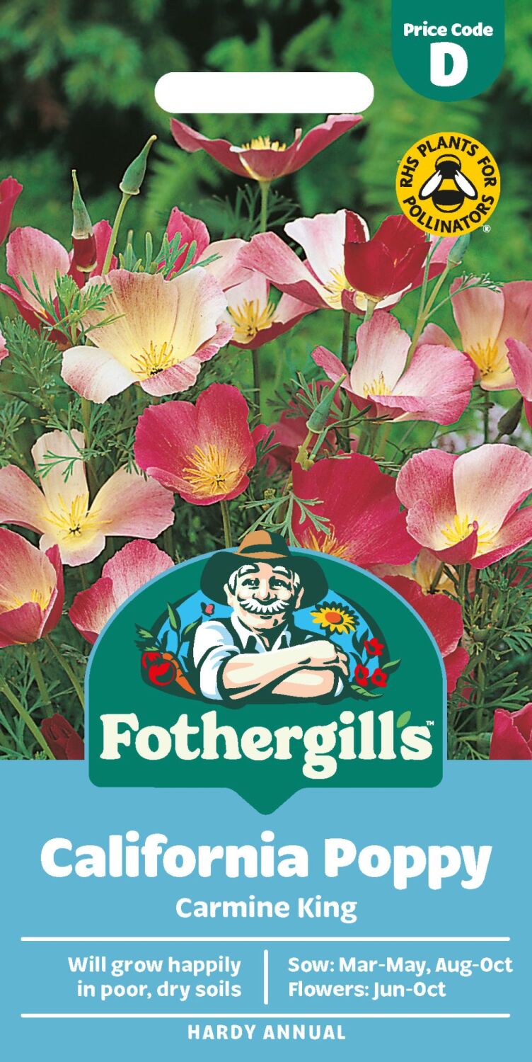 Californian Poppy Carmine King