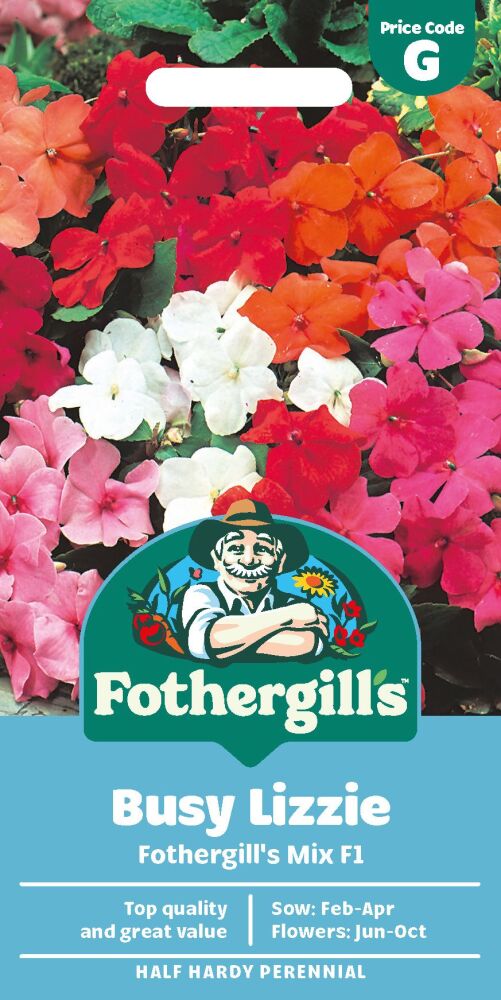 Busy Lizzie - Mr F's Mixed