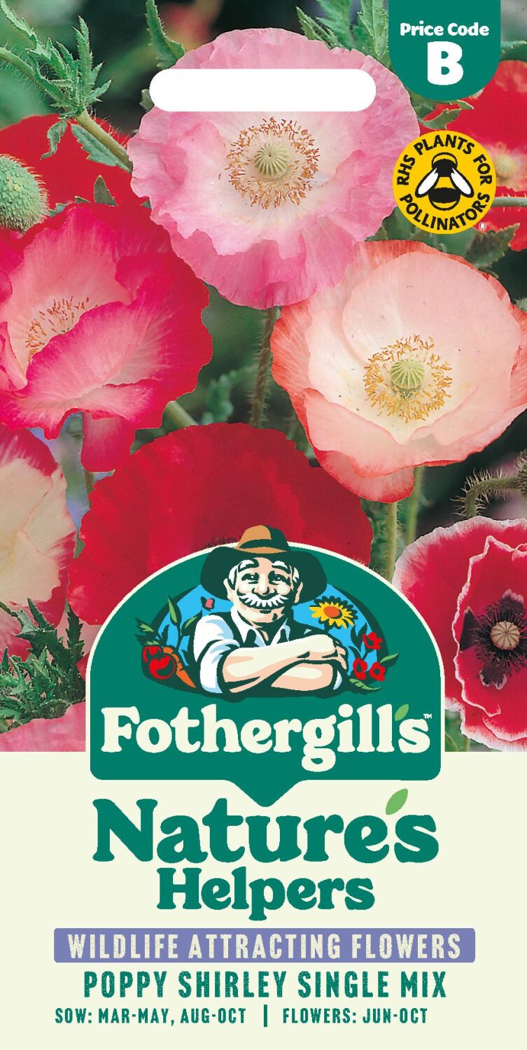 Poppy Shirley Single Mixed