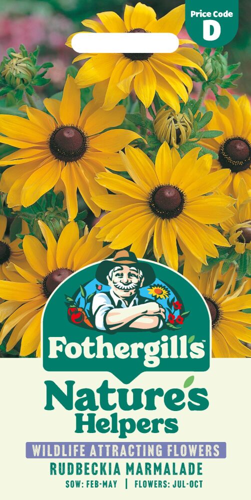 Rudbeckia Marmalade