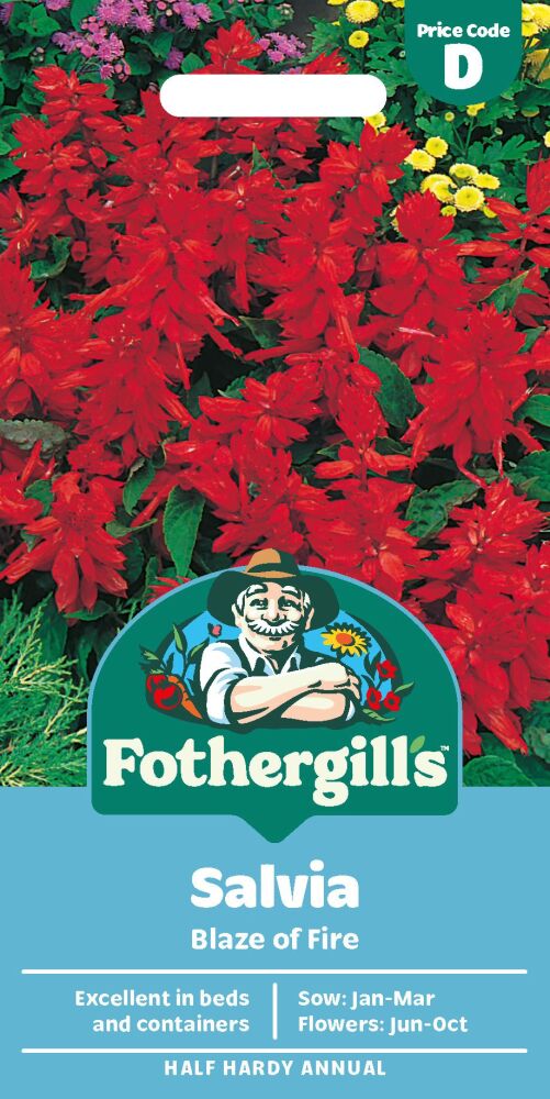 Salvia Blaze of Fire