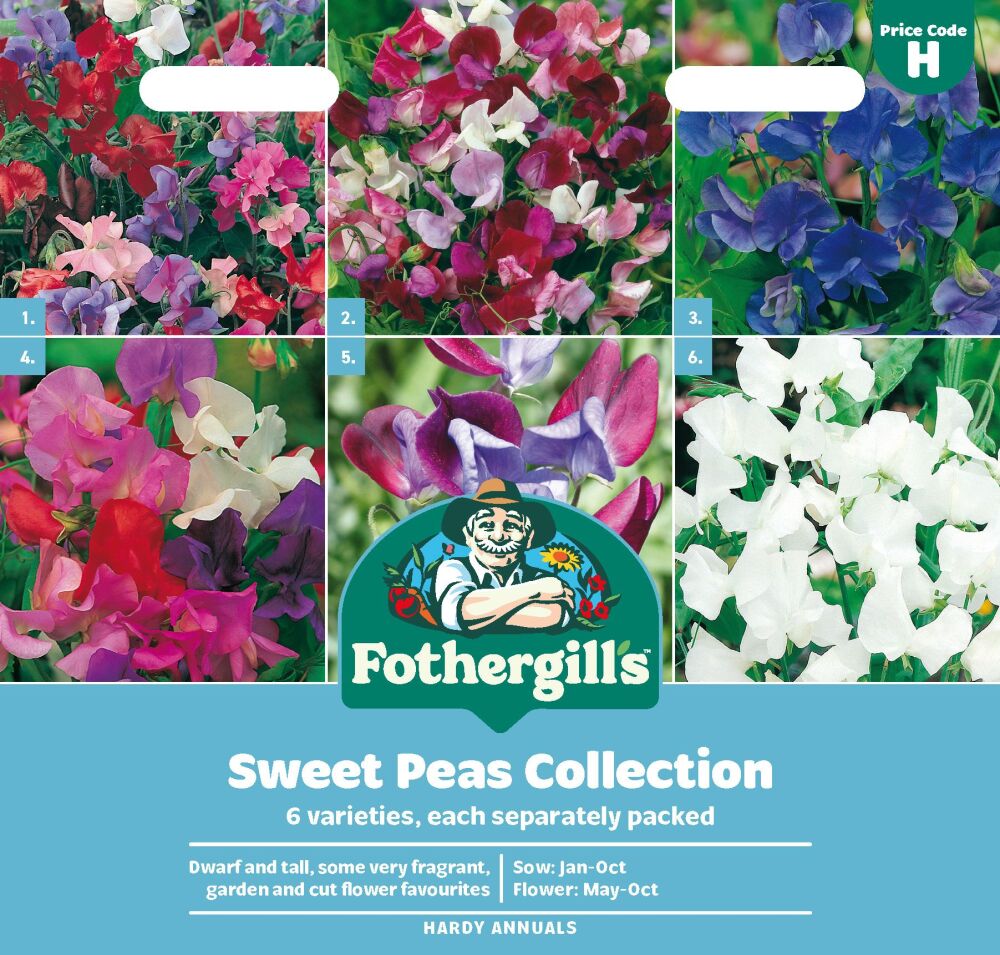 Sweet Pea  Collection